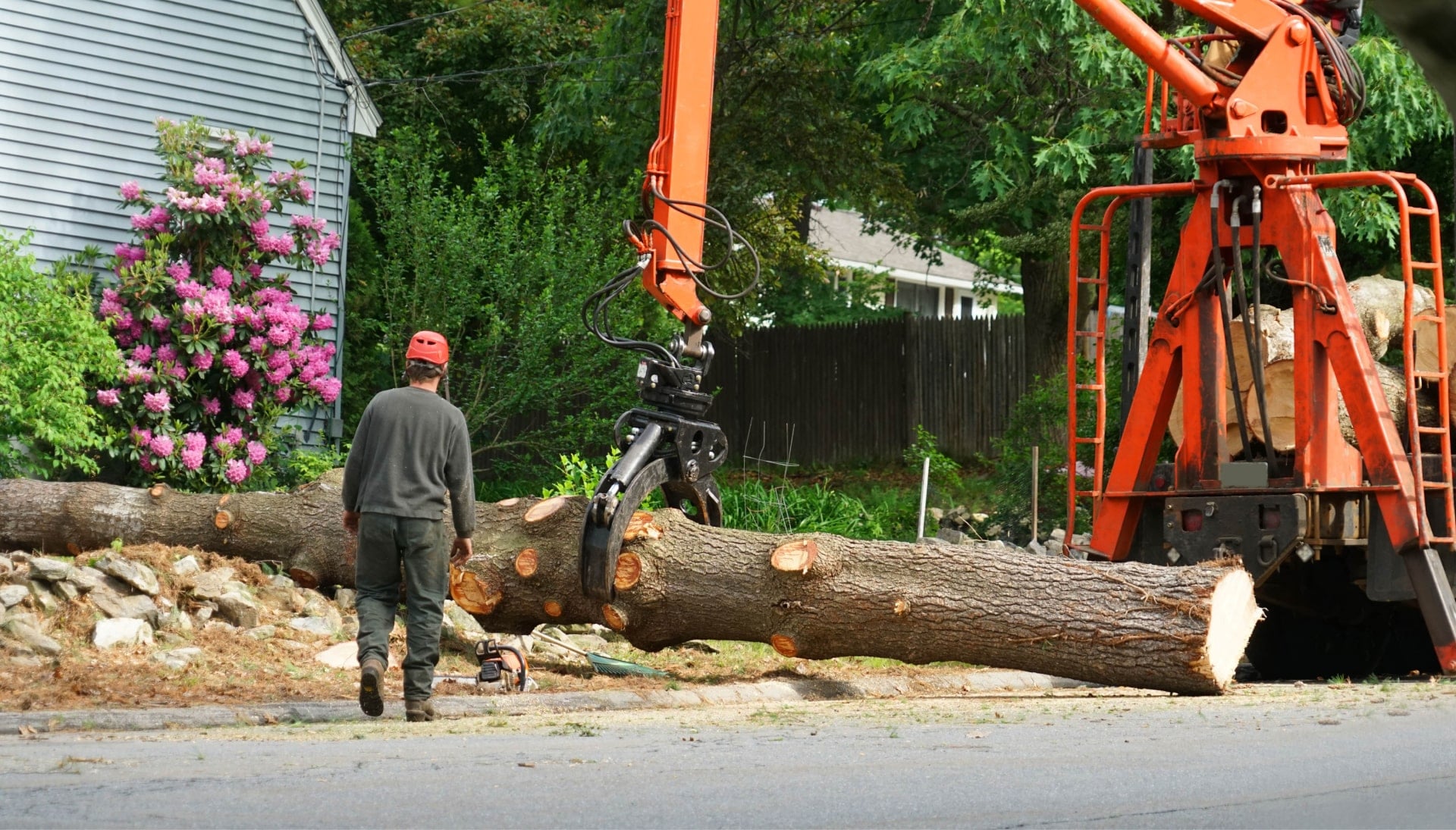 Local partner for Tree removal services in Lindsay